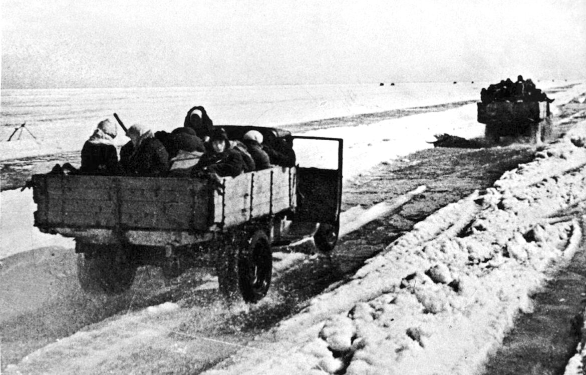 16916561491915754456854250950539